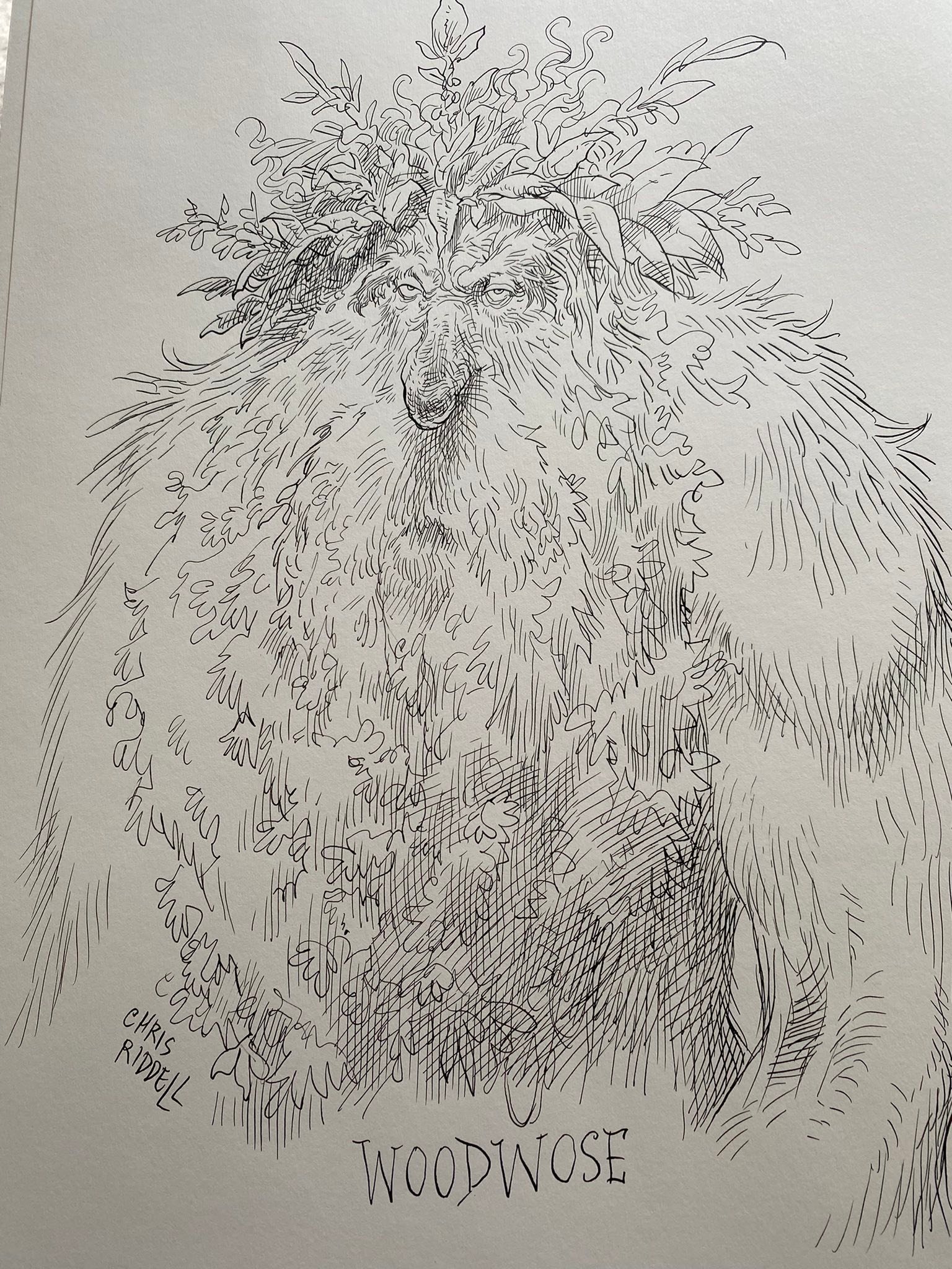 Chris Riddell