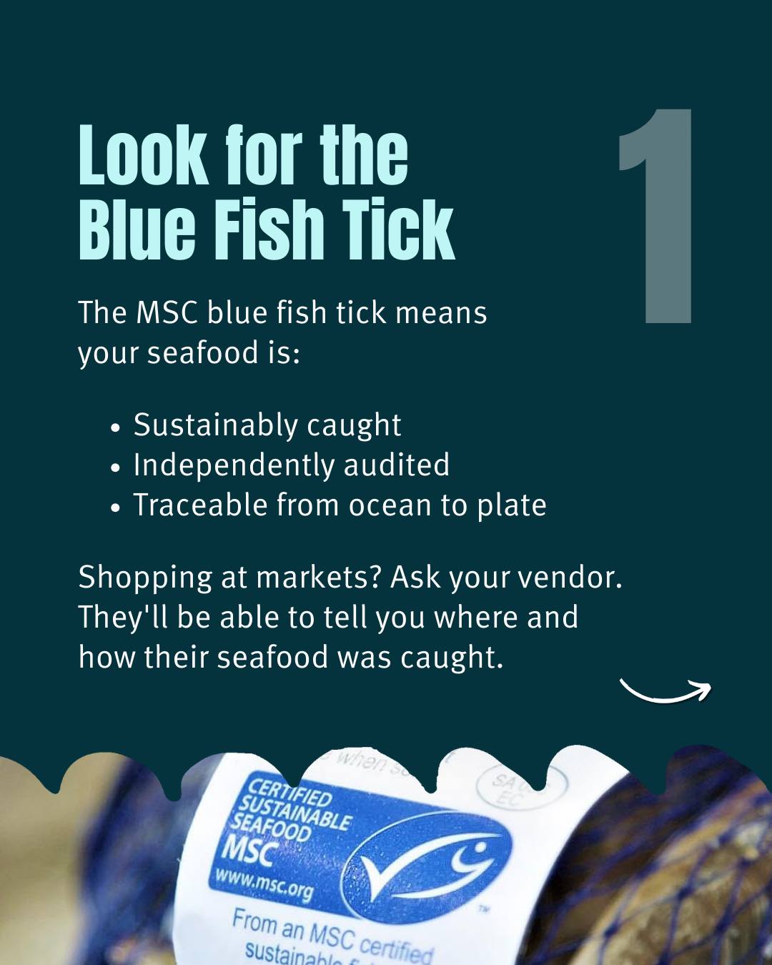 Marine Stewardship Council in Australia & NZ | Cronulla NSW