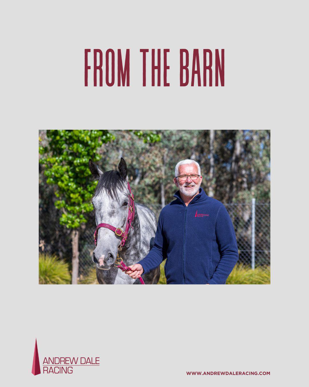 🐴 From the Barn is here! 🐴 Catch up... - Andrew Dale Racing | Facebook