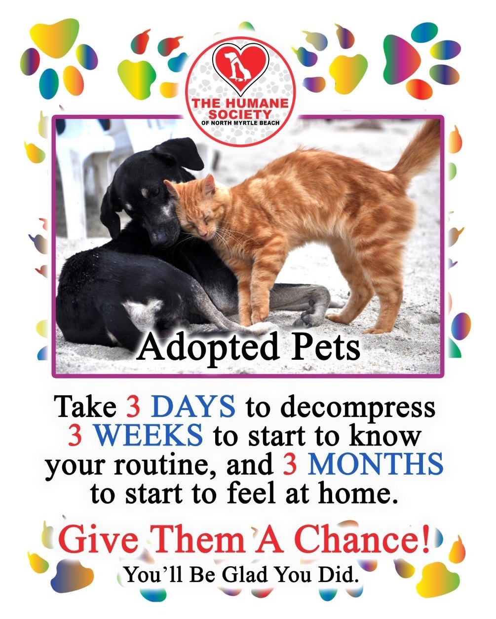 The Humane - 🐾🏠 The 3/3/3 Rule for Newly Adopted Fur Babies! 🐾🏠 If you ...