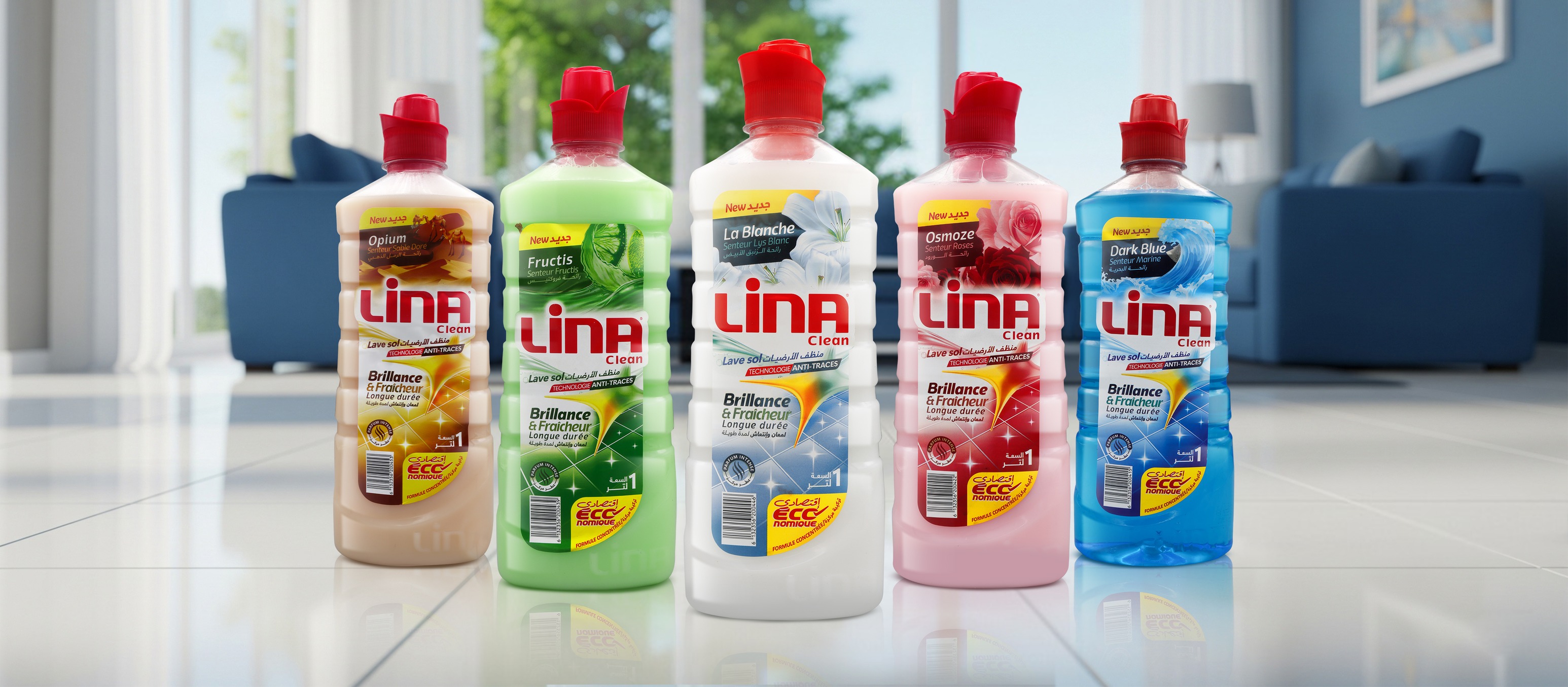 lina-clean-tlemcen