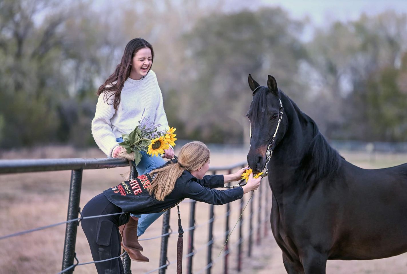 Wichita Riding Academy, Inc. Internship Program | Derby KS