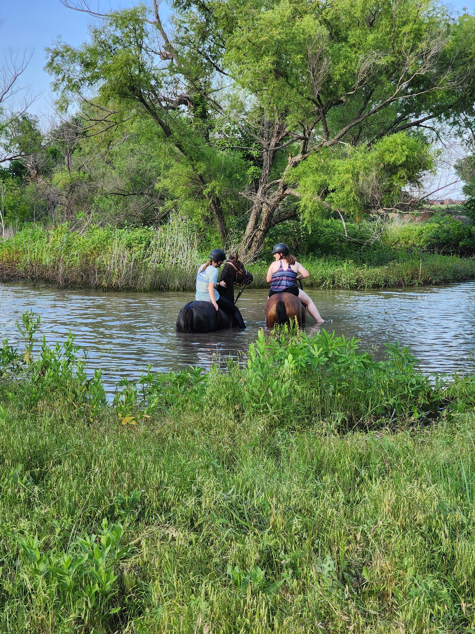 Wichita Riding Academy, Inc. Internship Program | Derby KS