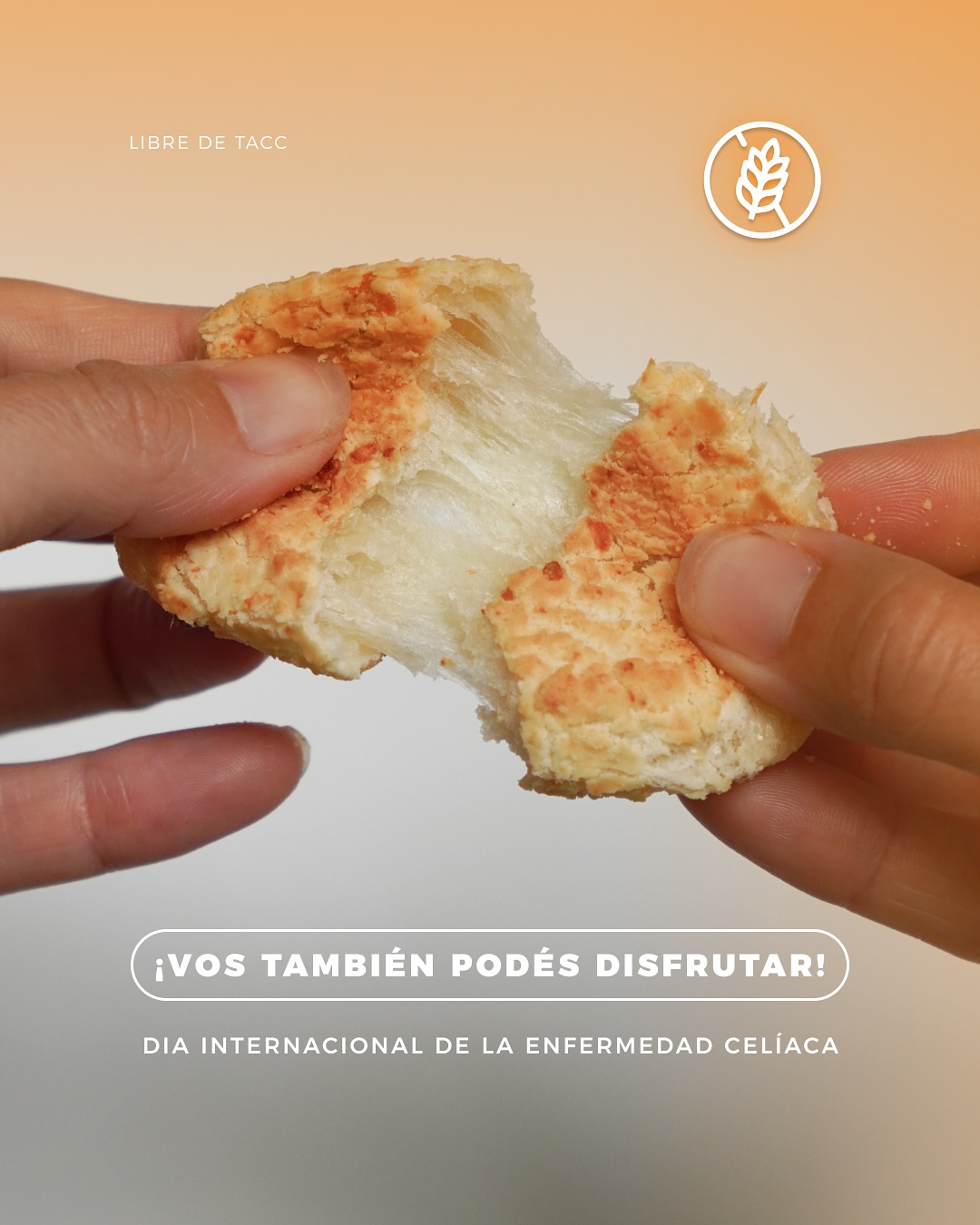 Mundo Chipa