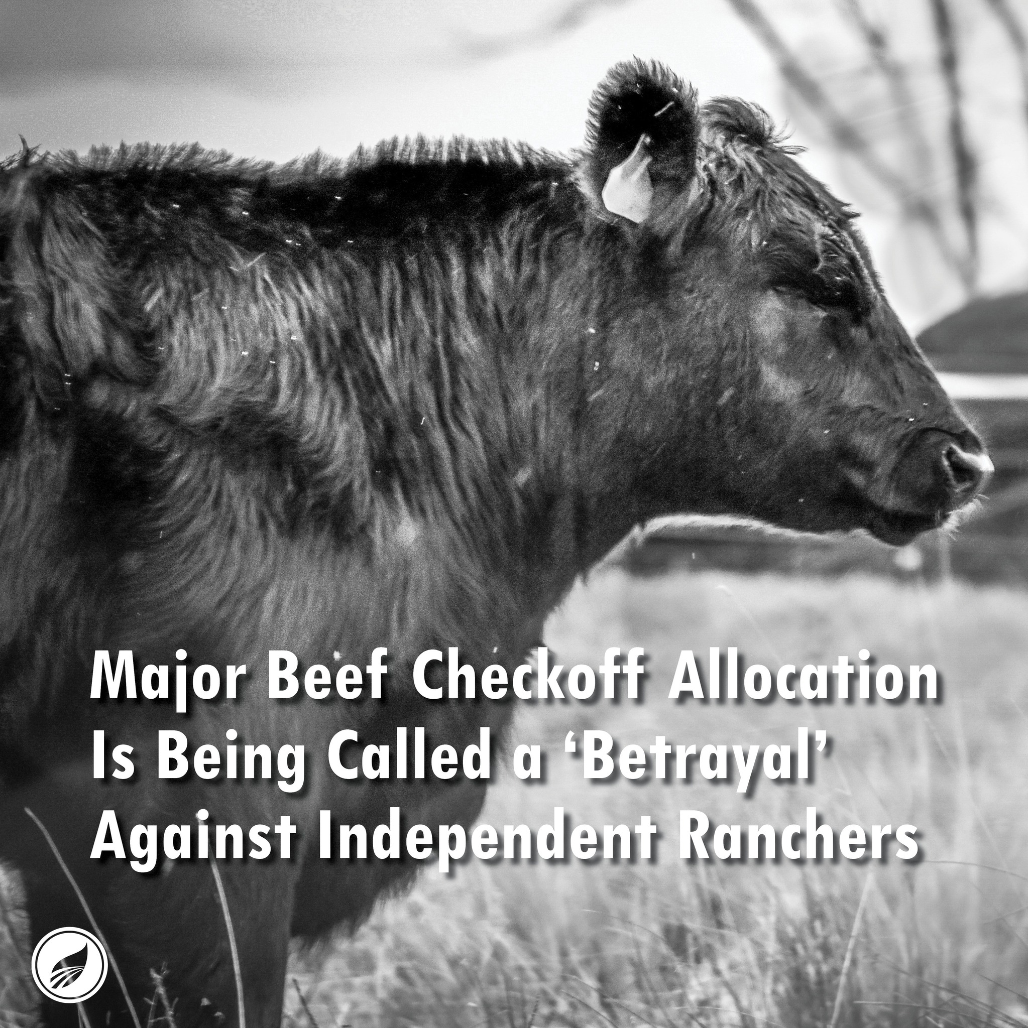 AGDAILY - In a strongly worded letter, rancher advocacy group Beef Life ...