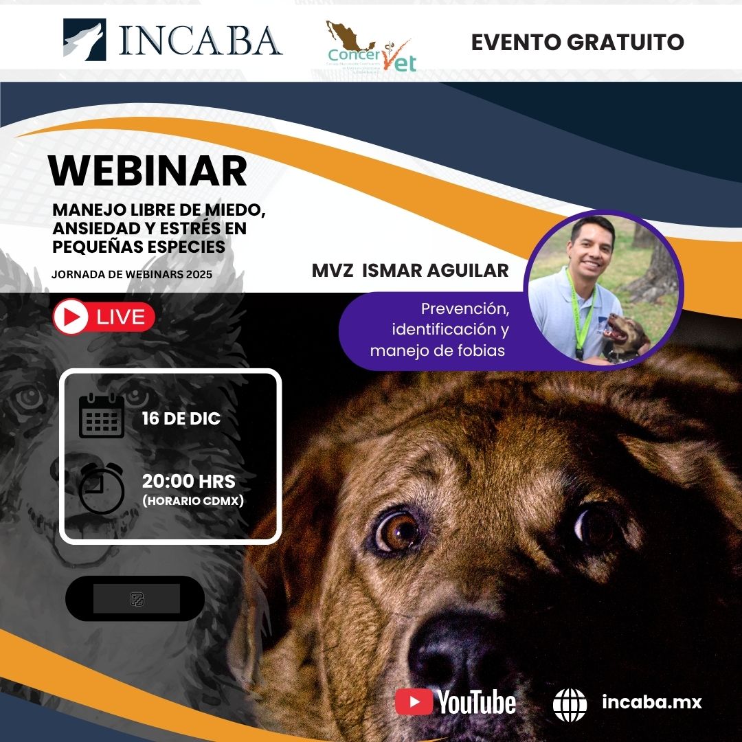 Incaba Servicios... - Incaba Servicios Profesionales