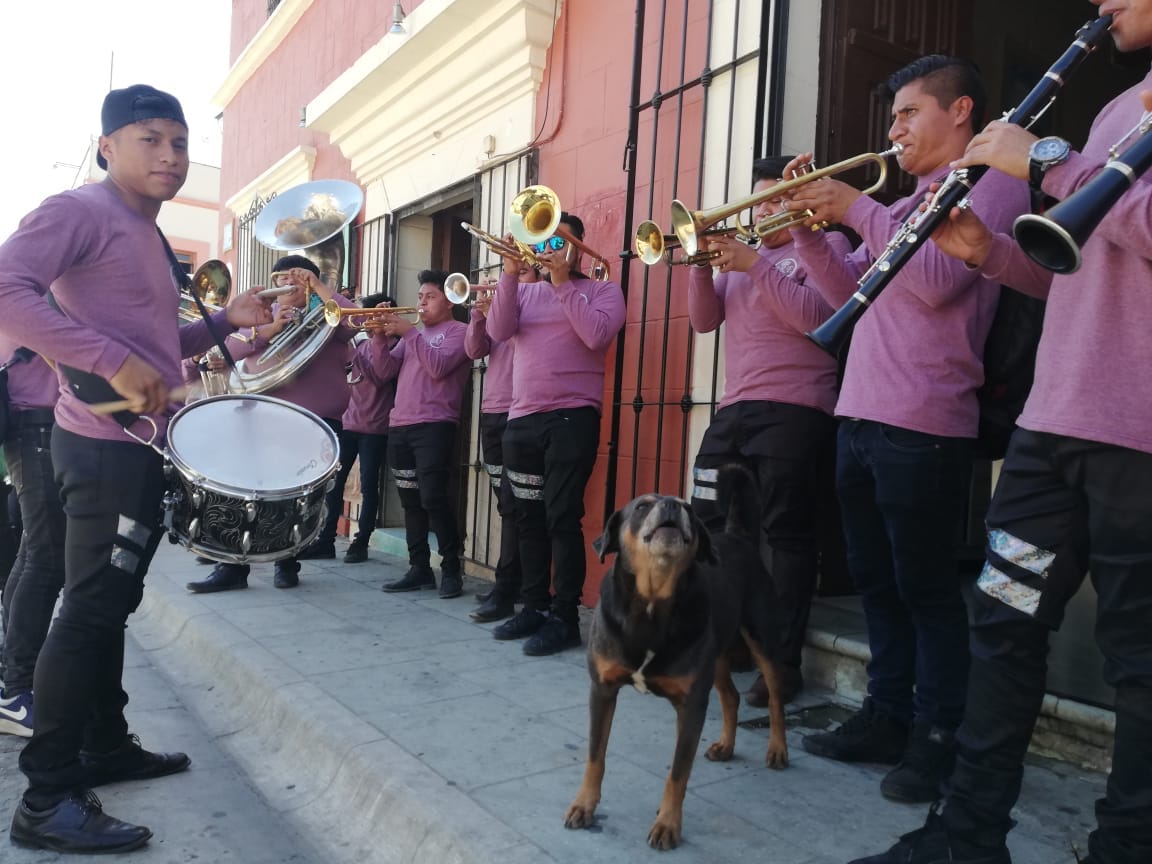 Banda Reyes de la Fiesta