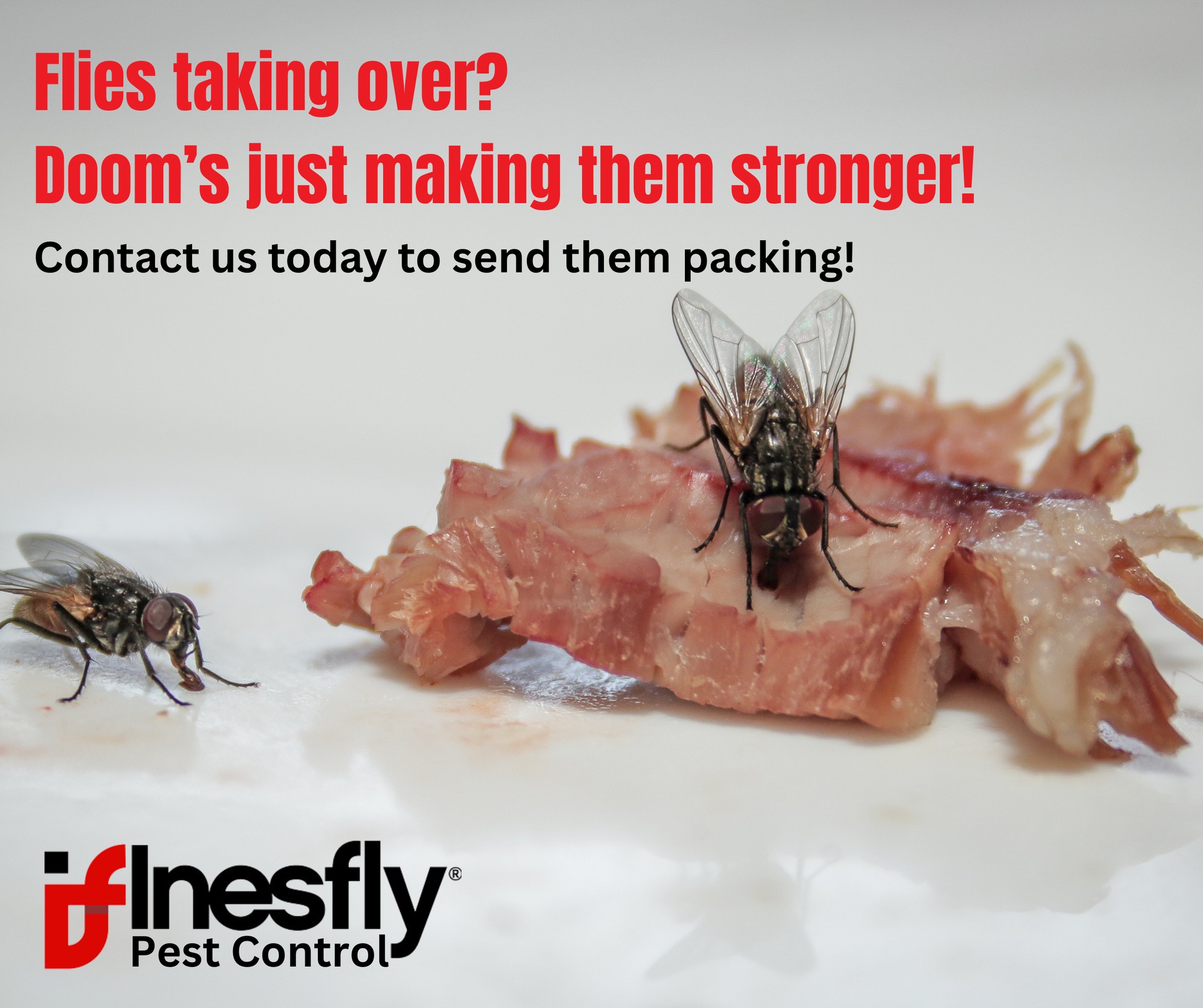 Inesfly Namibia | Windhoek