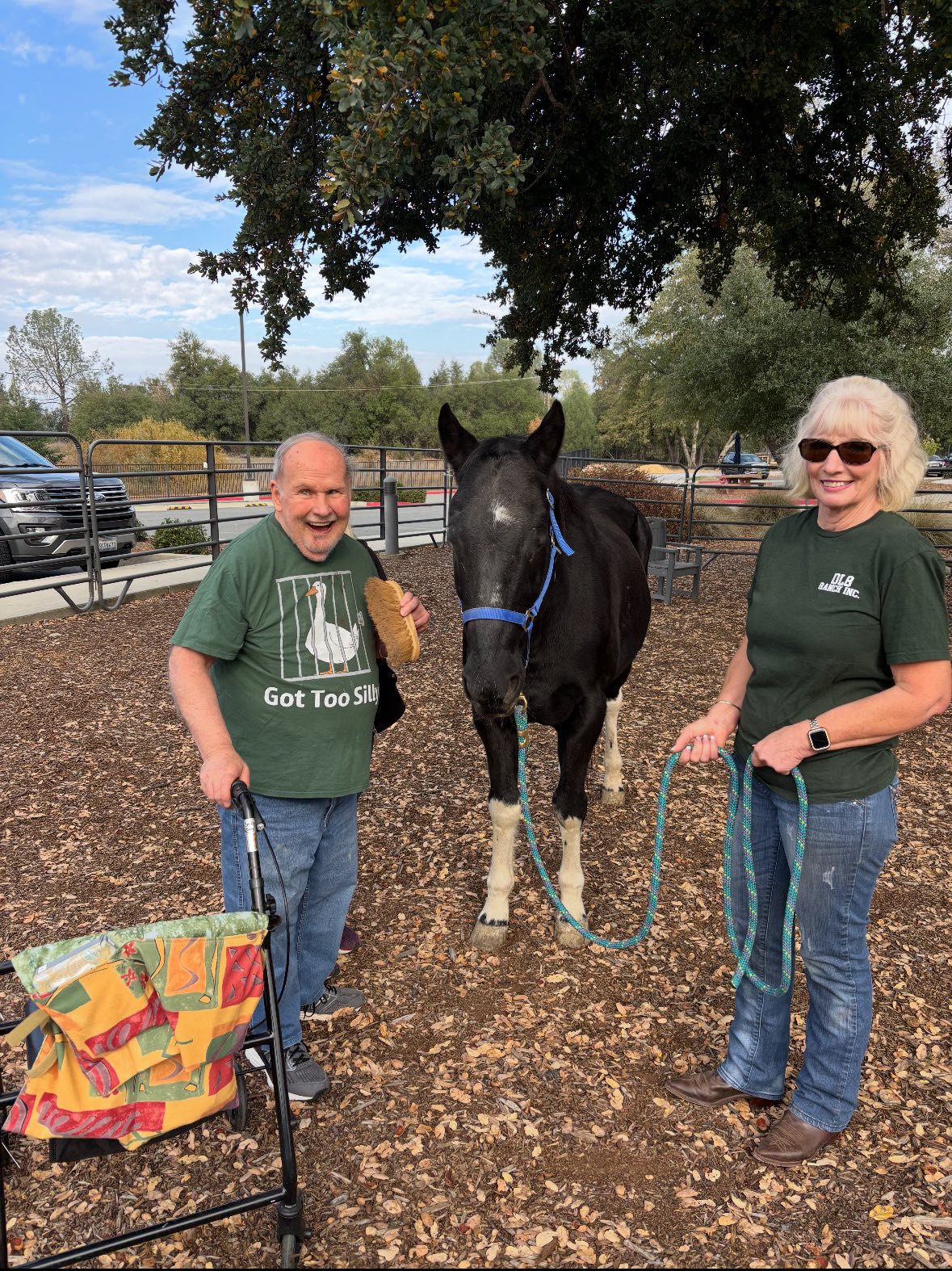 DLB Ranch, Inc - The DLB Ranch herd and several volunteers... | Facebook