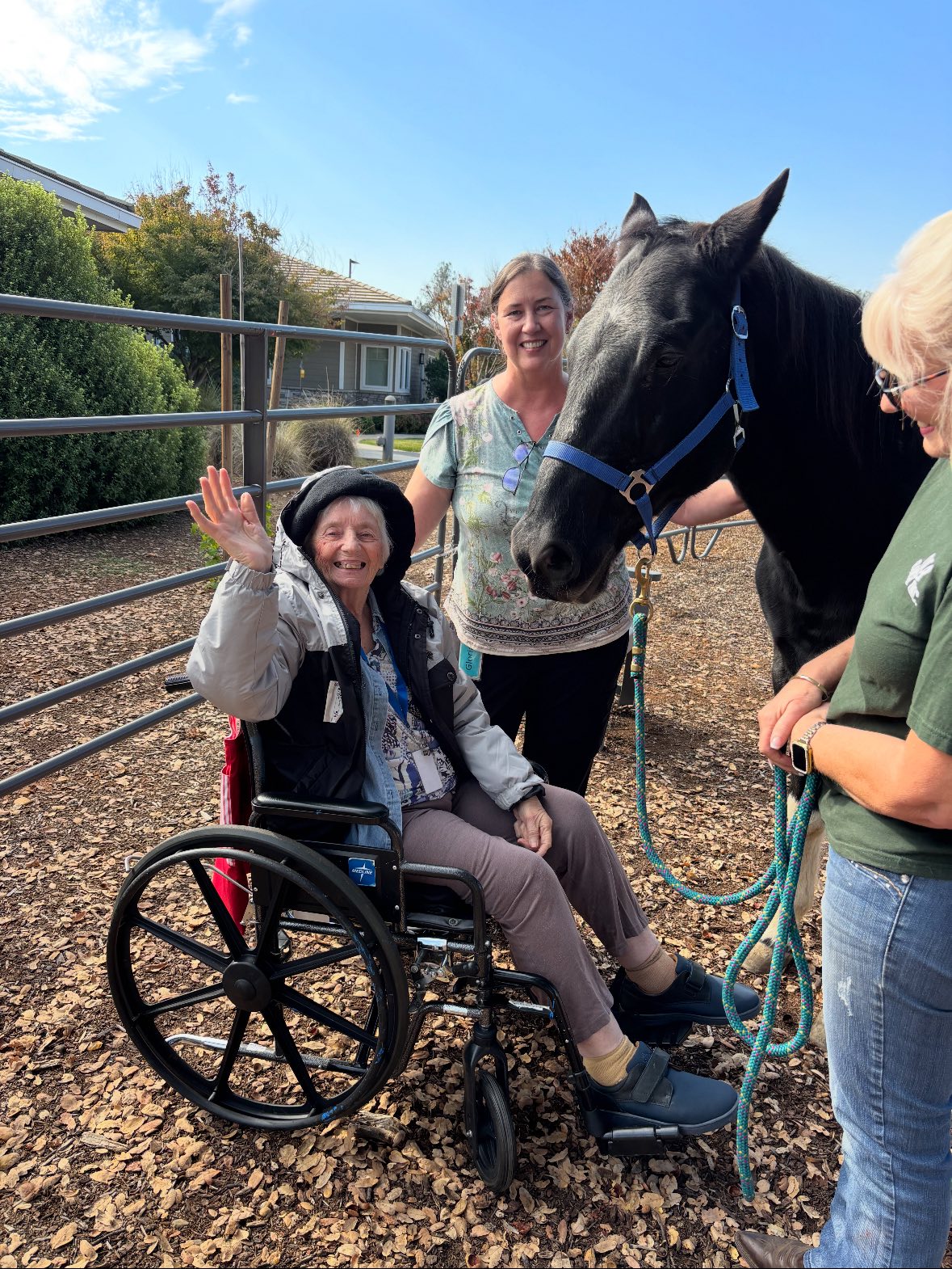 DLB Ranch, Inc - The DLB Ranch herd and several volunteers... | Facebook