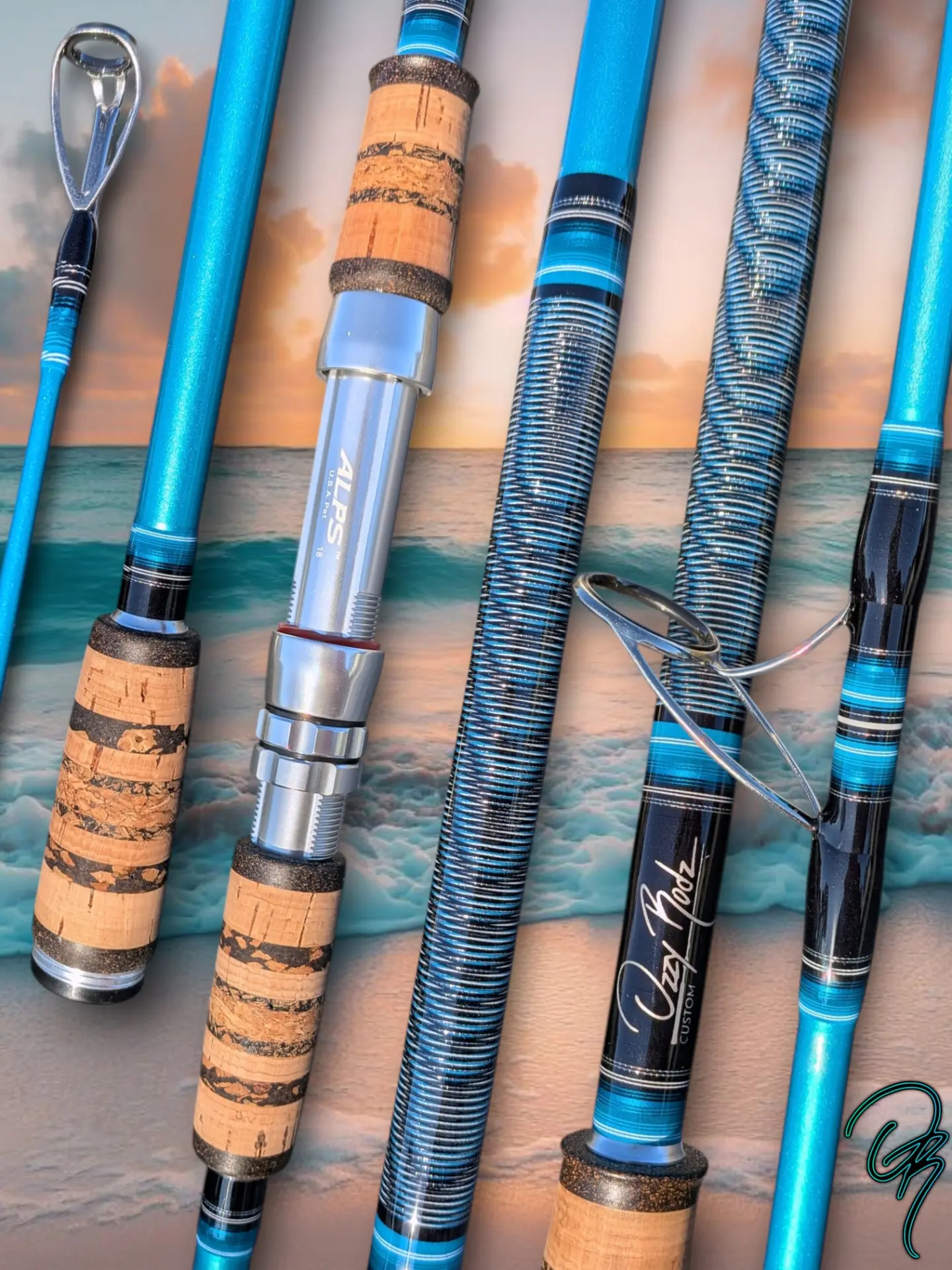 10000 fishing reel Daiwa BG MQ Capt. Harry's CS15/20 Spinning Rod Combo Size:16/0 w/ 6/0 swivel - 50pk Garmin GPS fish finder How To Select The DAIWA’s Free Swimmer EX