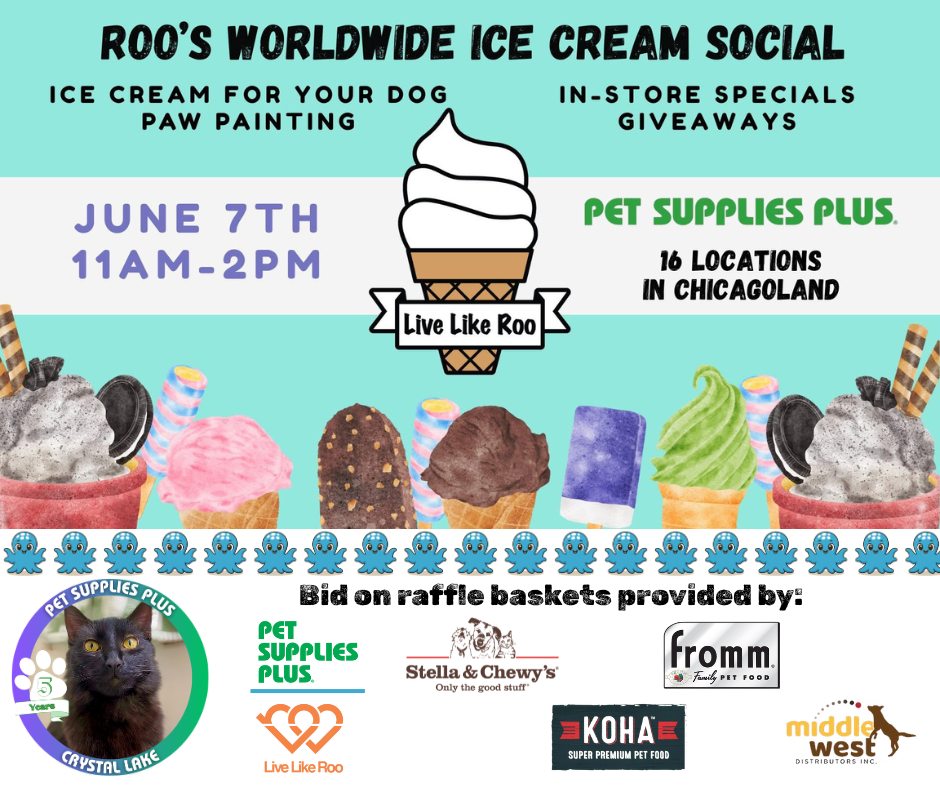 Live Like Roo Foundation | Arlington Heights IL