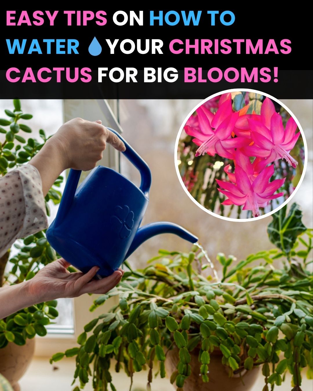 Garden Lovers Club | Facebook