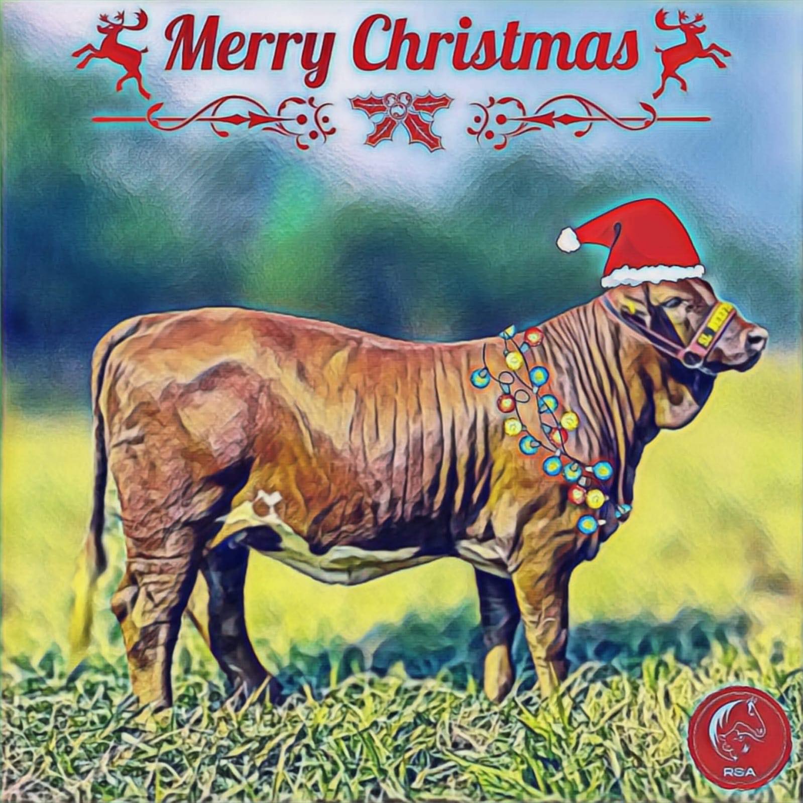 En Rancho San Antonio celebramos la... - Rancho San Antonio | Facebook