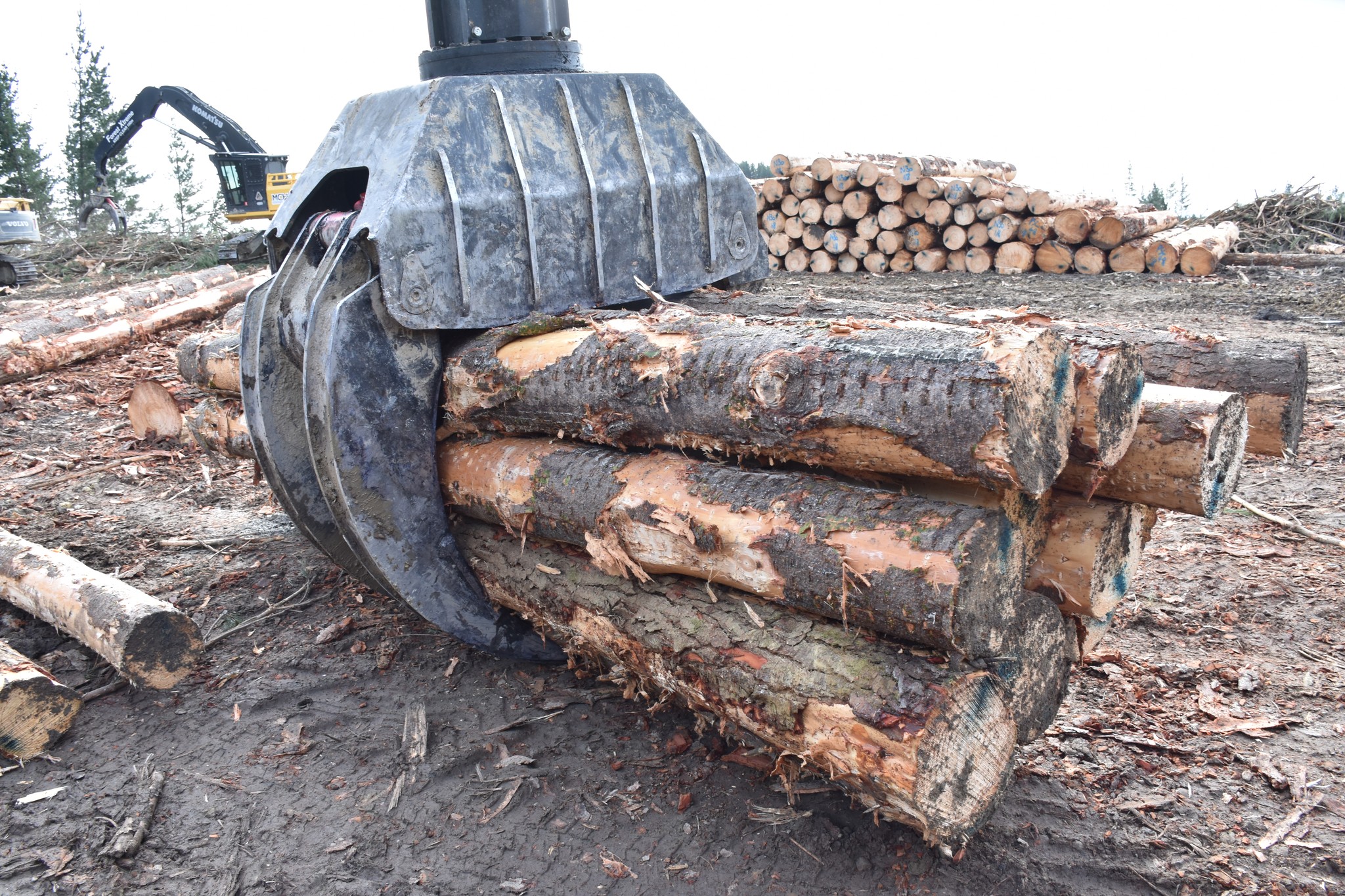 NZ Logger Magazine added a new photo. - NZ Logger Magazine