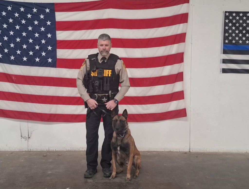 🐾 K9 Unit Update 🐾... - Louisa County Sheriff's Office | Facebook