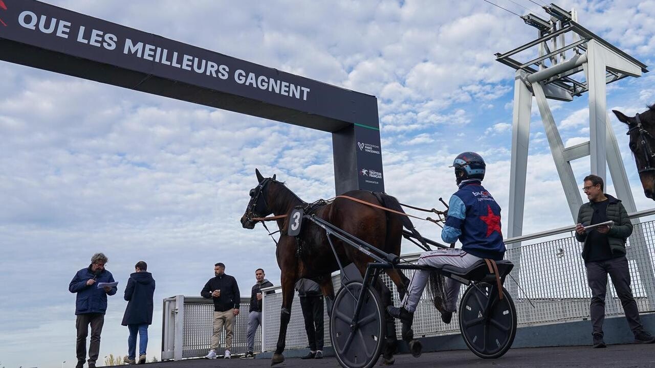 Equidia - Les 4 infos incontournables de la R1 du lundi 24 novembre à ...