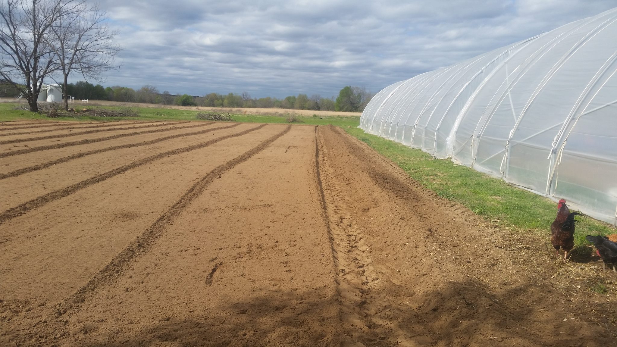 The Farm, LLC - Well the outside plot is tilled and got...