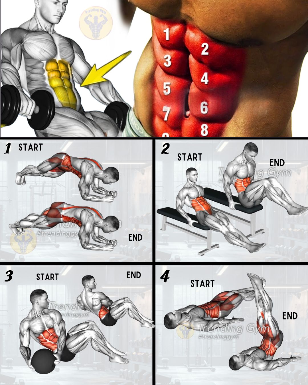 Trending - 4 Abdominal Exercises Routine - Abs Workout🔥 ① Plank Twist ② ...