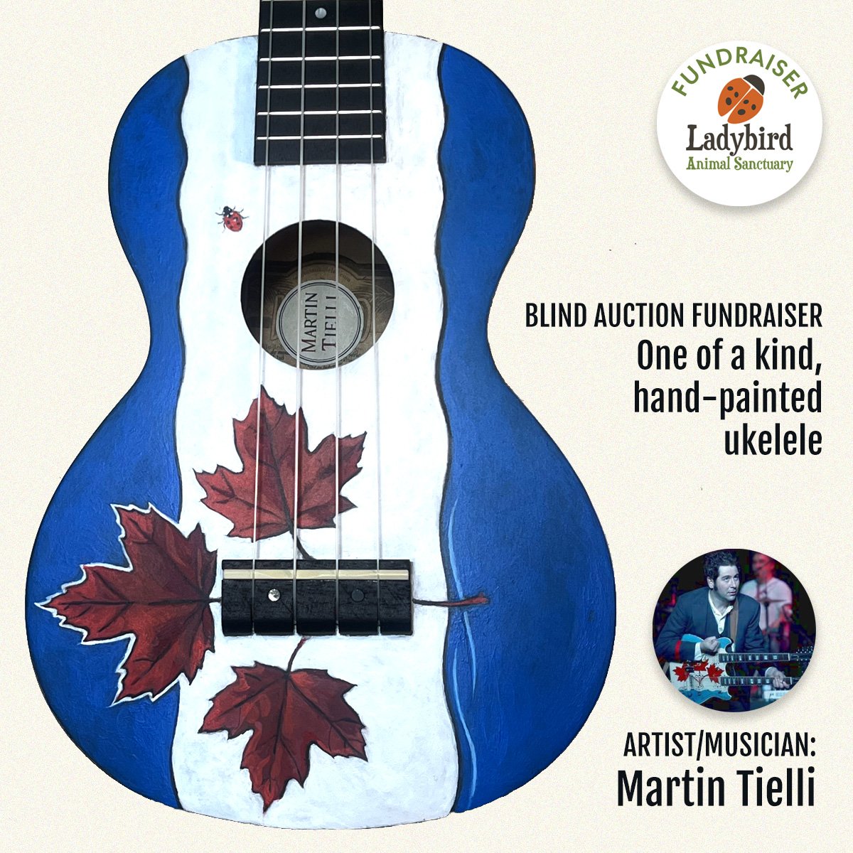 Ukulele Blind Auction Attention collectors of unique original