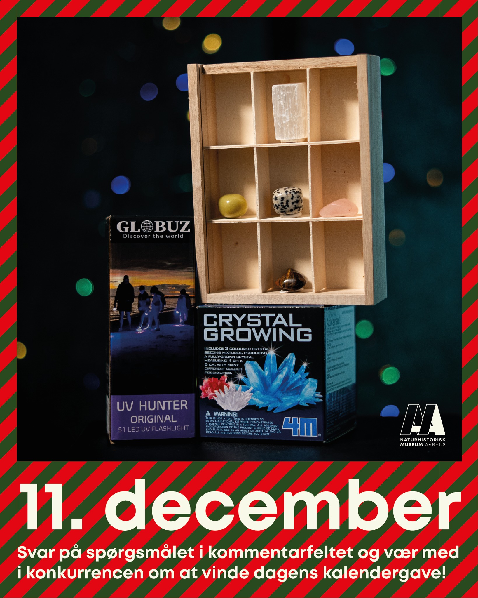 🎁 JULEKALENDER: 11. DECEMBER –... - Naturhistorisk Museum | Facebook