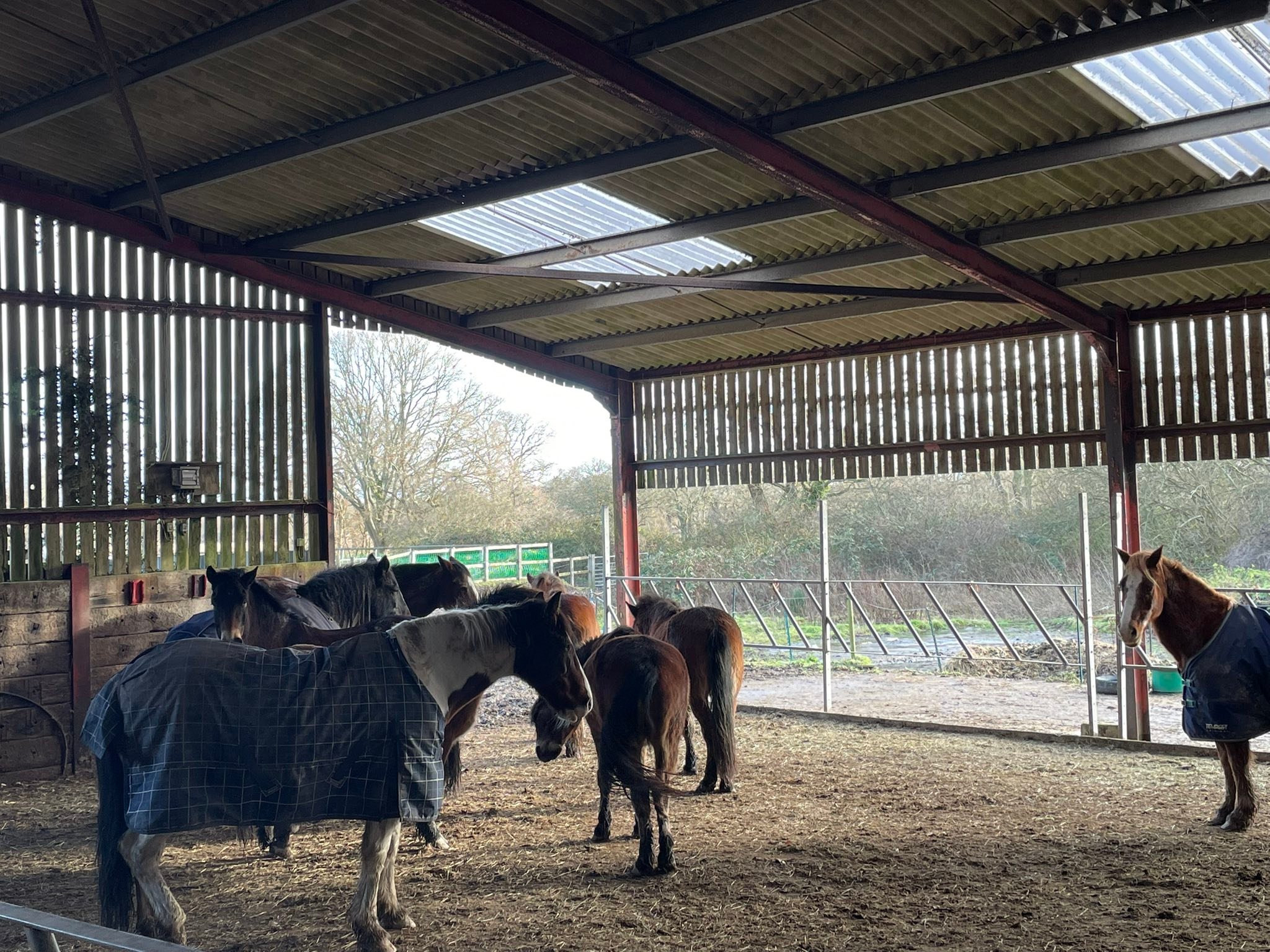 Priory Court Farm | Polegate