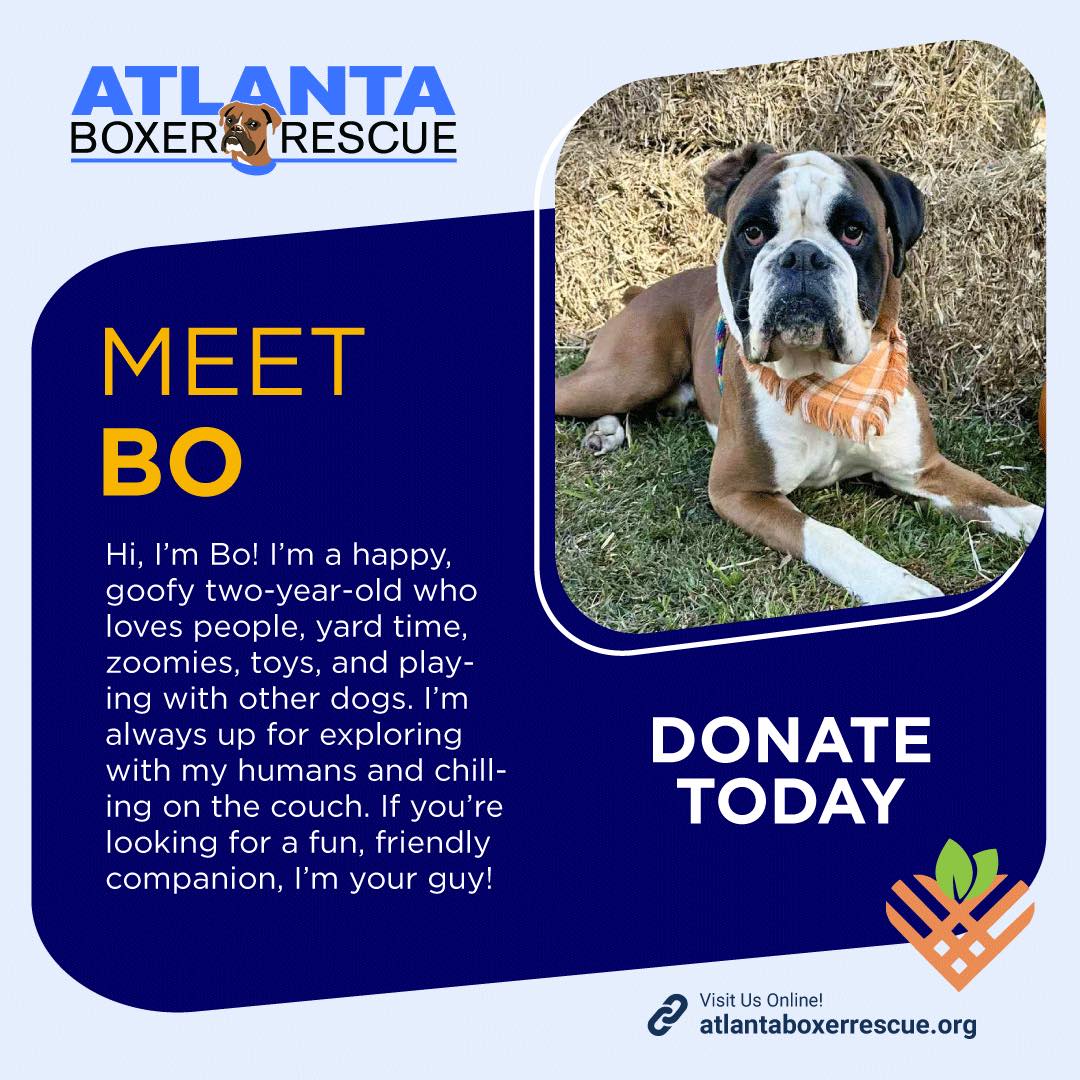 Atlanta - Bo came to us needing medical care and a safe place to land ...