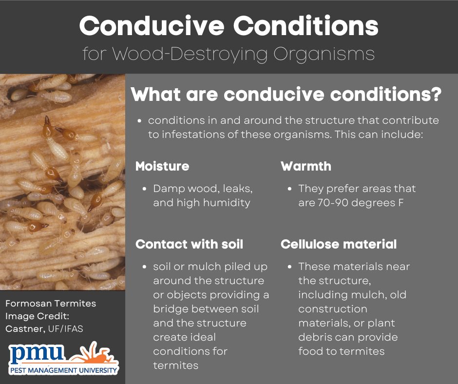 Conducive conditions make... - Pest Management University | Facebook