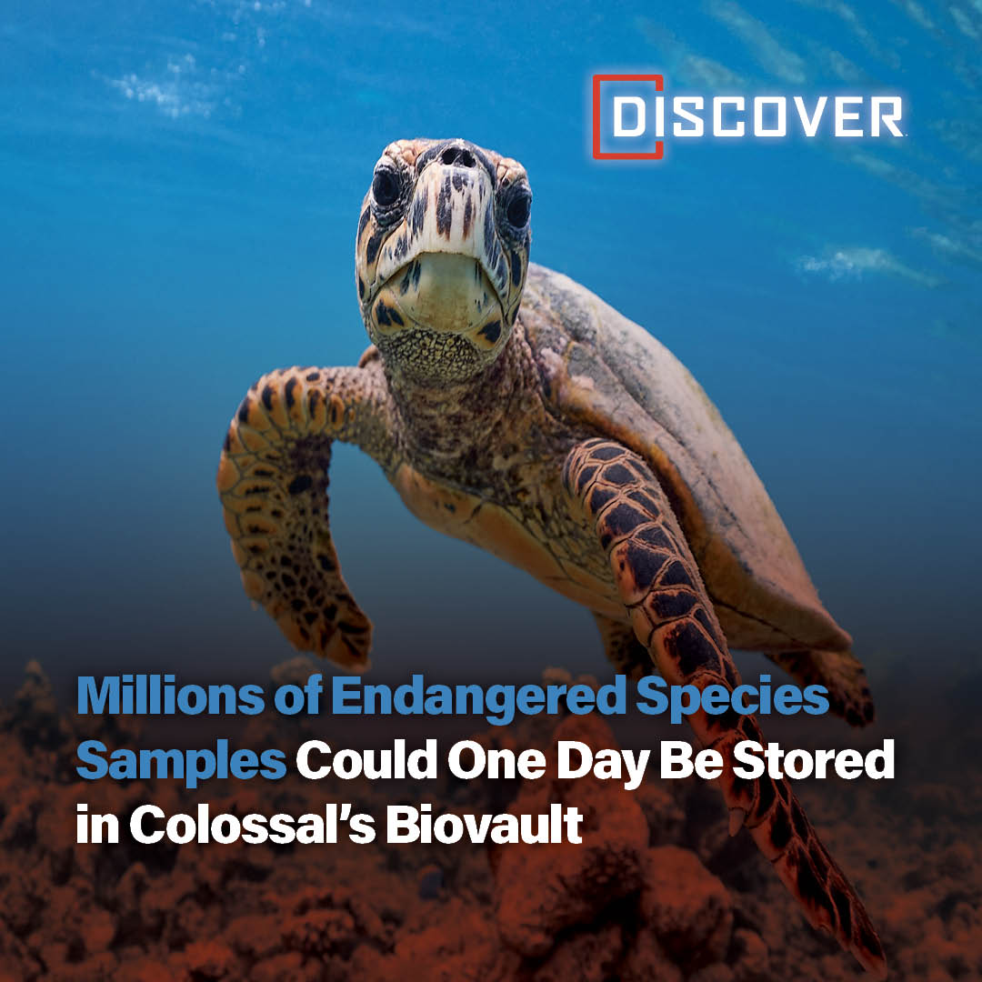 A new conservation initiative will... - Discover Magazine | Facebook