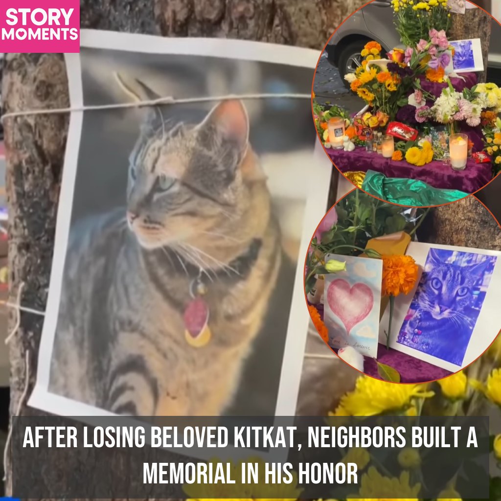 A memorial for KitKat now sits outside of Randa's Market on 16th