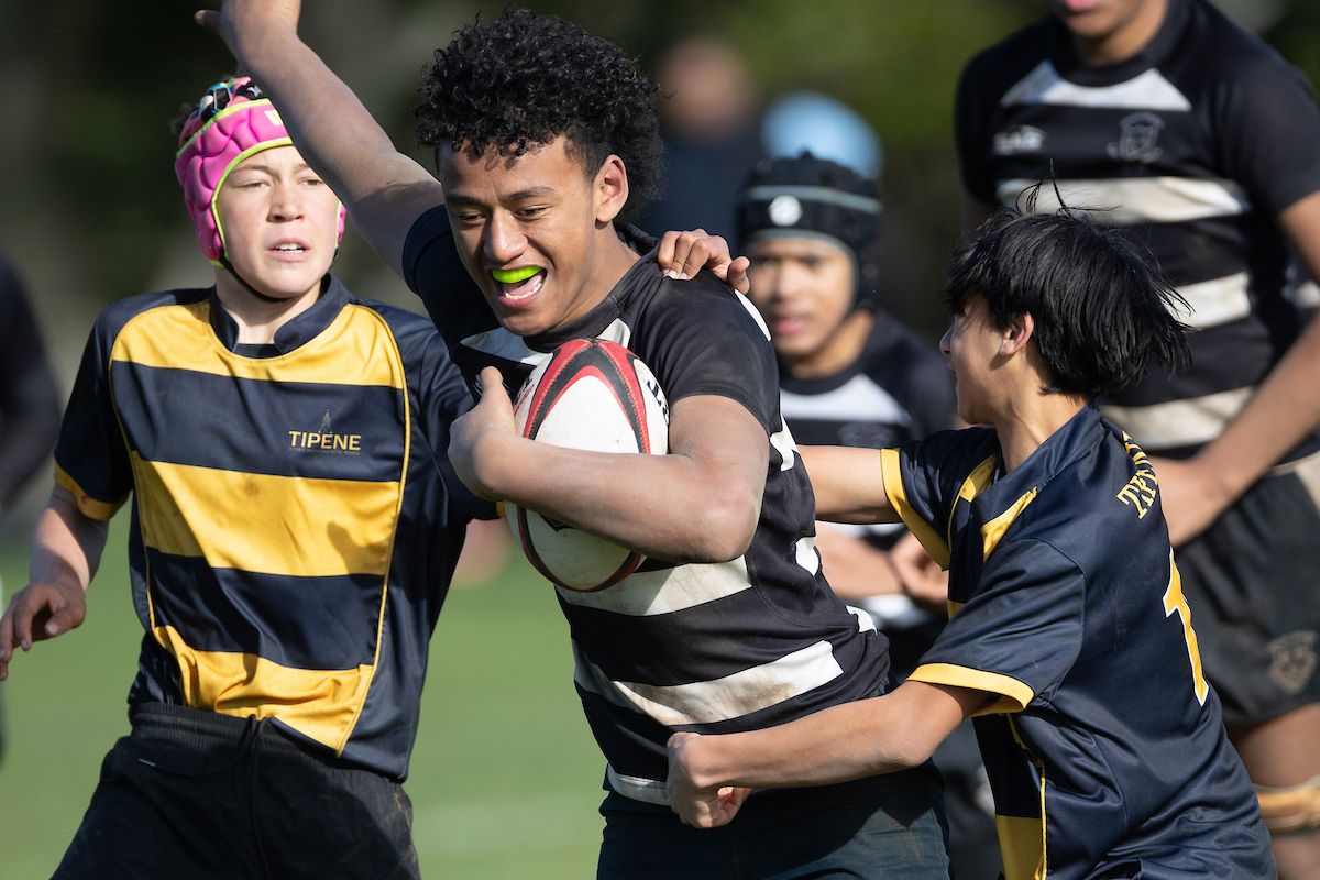Counties Manukau Rugby added a... - Counties Manukau Rugby