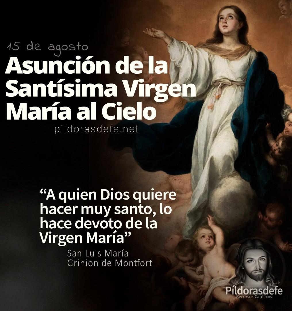 Papa - Feliz día de la Asunción de María al Cielo. 🙏 | Facebook