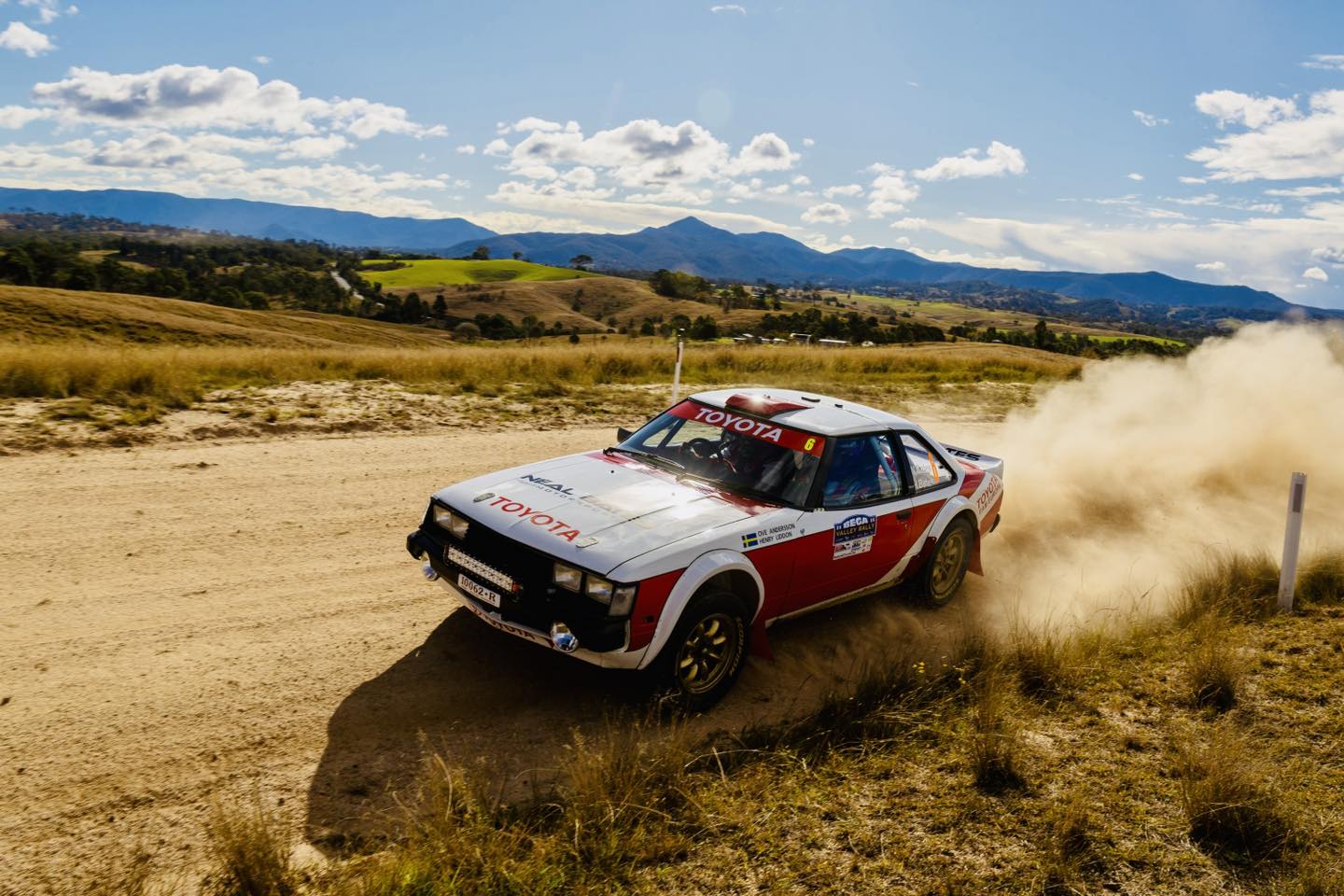 Rally NSW - 🐱💥 Neal Bates has thrown a cat amongst the... | Facebook