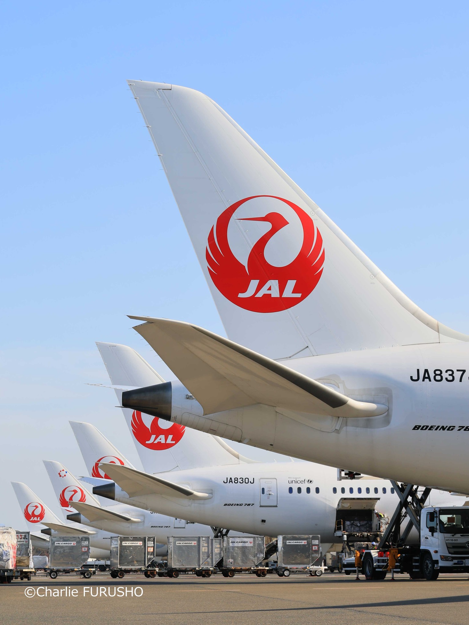 JAPAN - 駐機場にずらりと並んだ鶴丸たち✨ …ん？よ～く目を凝らして