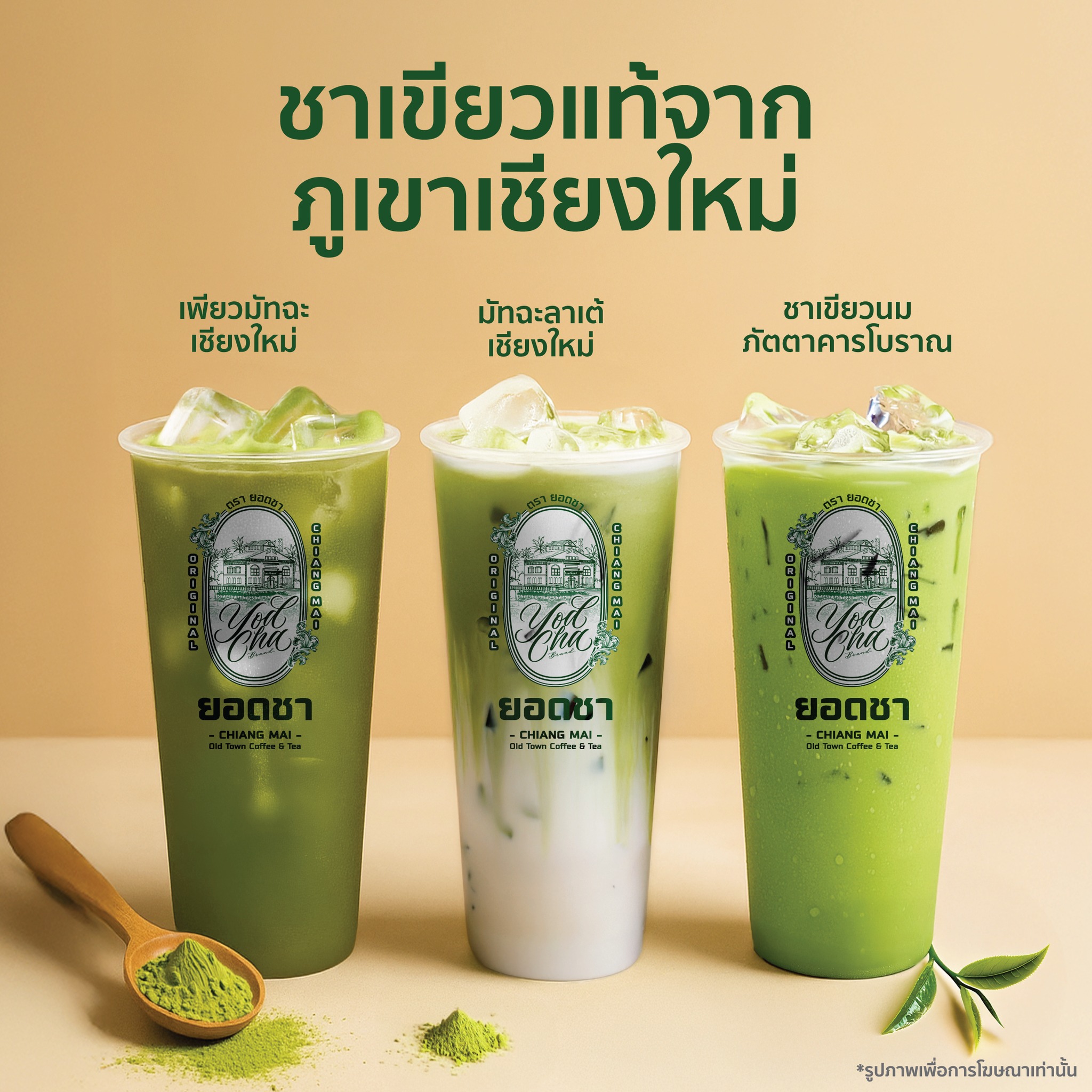 UD - 🍃 ชาเขียวเชียงใหม่แท้ ปลูกบนภูเขาสูง คั่วสด บดใหม่ และชงสดทุกแก้ว ...
