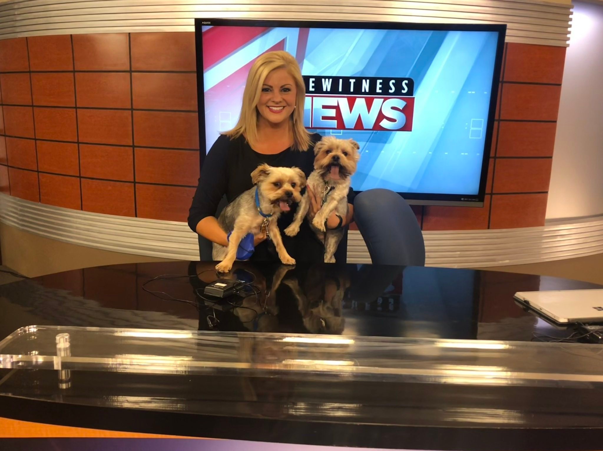 My sidekick, Mini, passed away... - Haley Currao News | Facebook