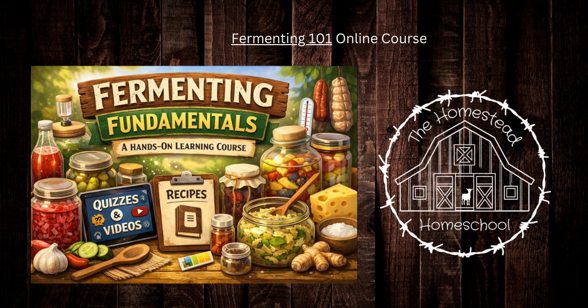 Heritage - 🫙 NEW CLASS RELEASE: Fermenting Fundamentals 🫙 Want to learn ...