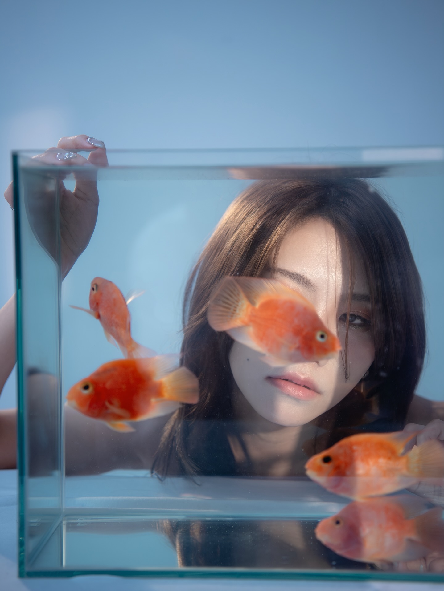 伊芙蝶（周甯）（小貓）