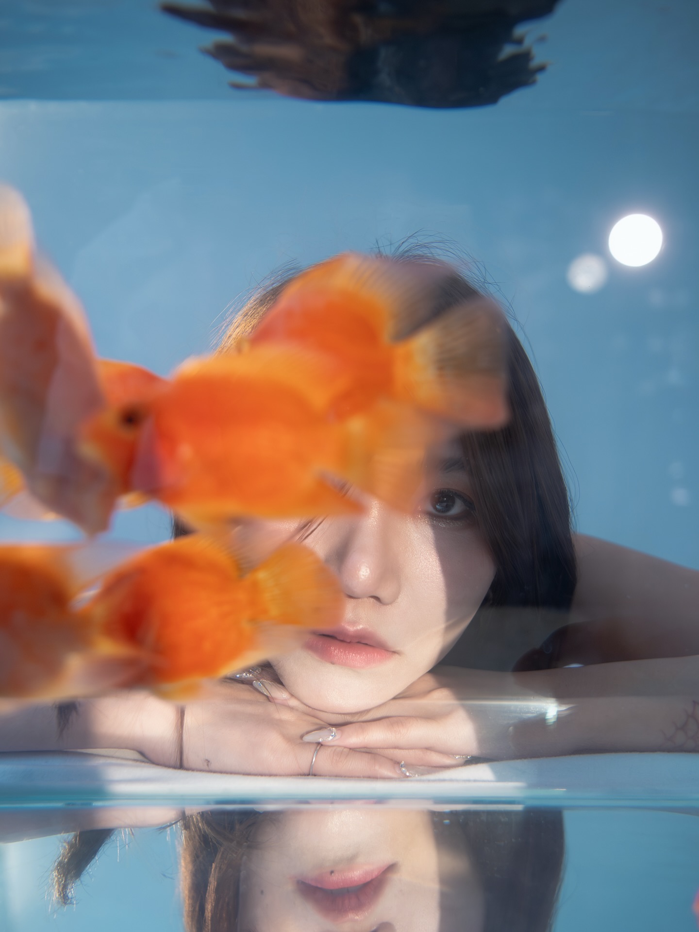 伊芙蝶（周甯）（小貓）