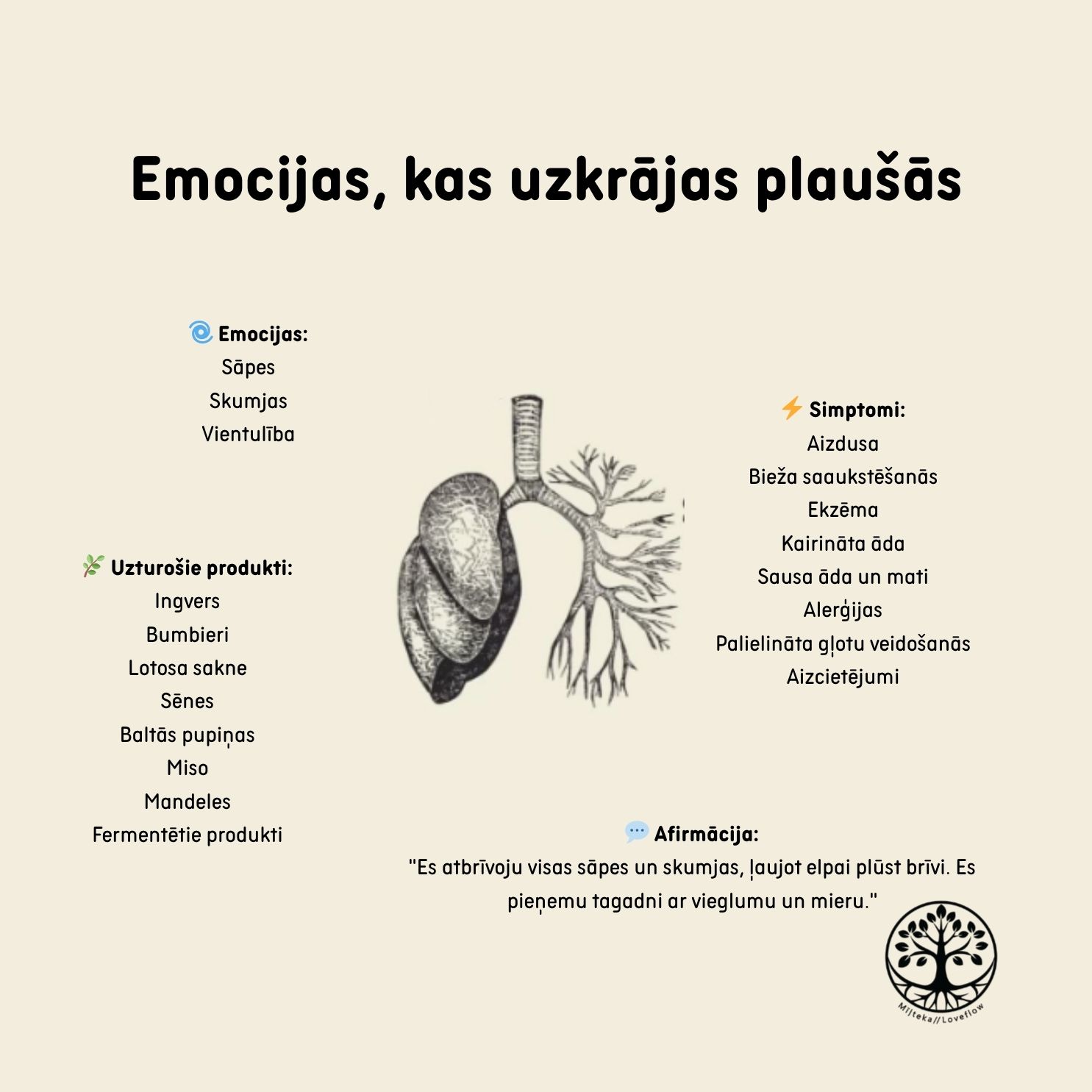 Mīļteka ar Lionu added a new photo. - Mīļteka ar Lionu