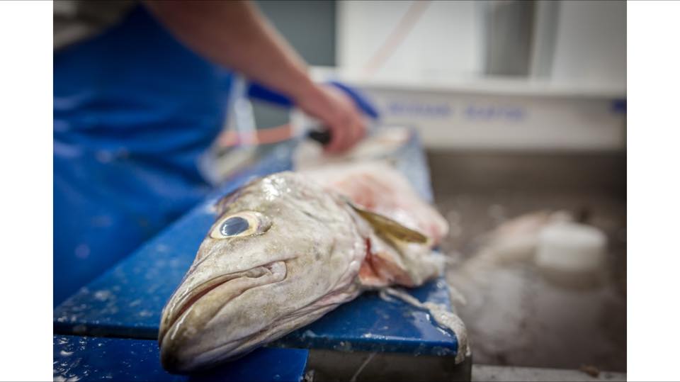 Brixham Seafish | Brixham