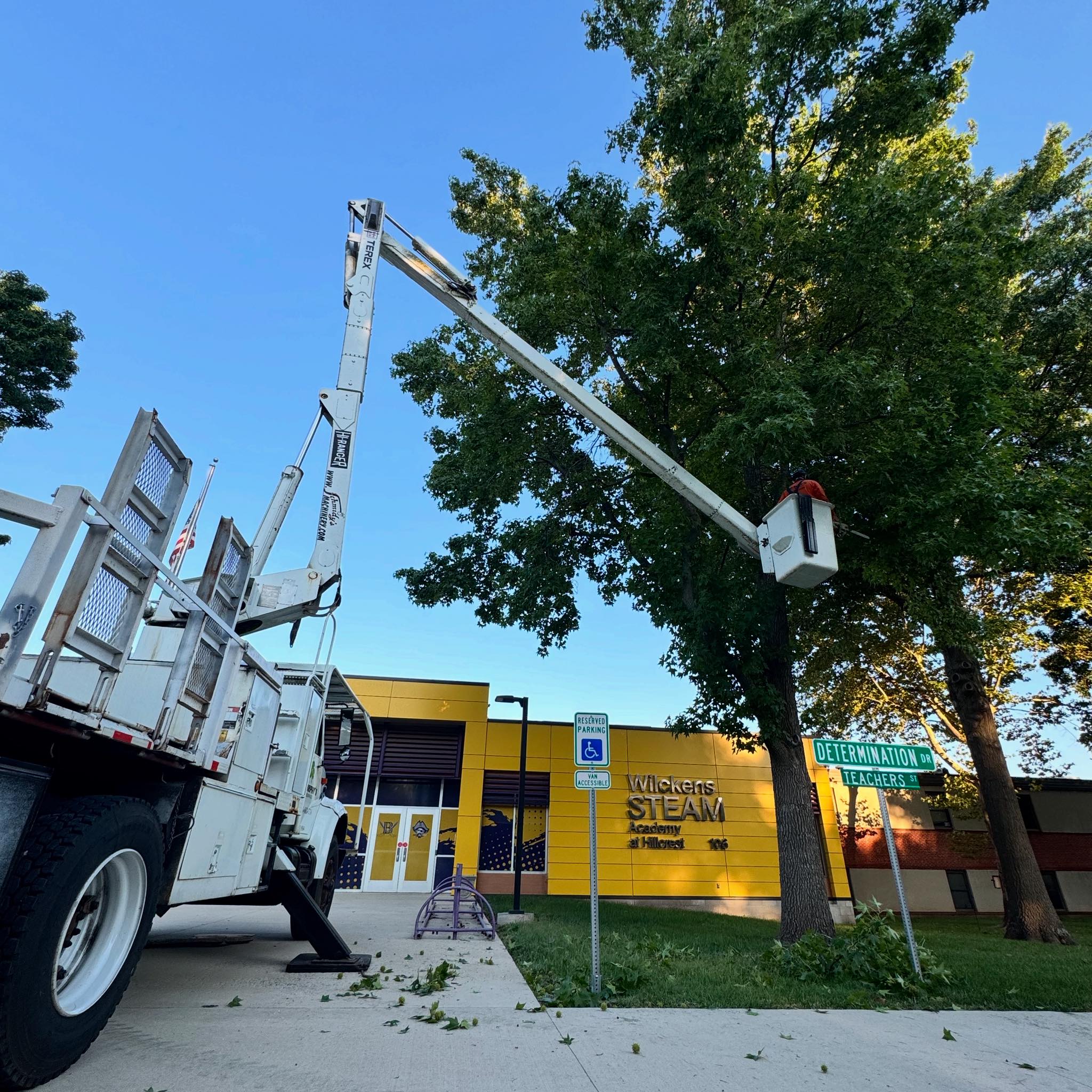 Murphy's Tree Service