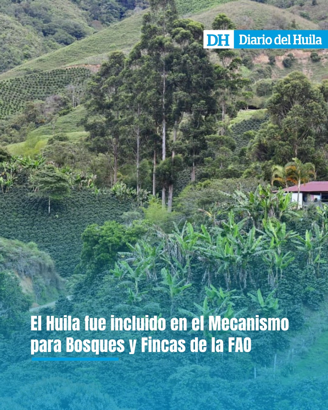 Diario - #Huila El departamento del Huila fue incluido oficialmente en ...