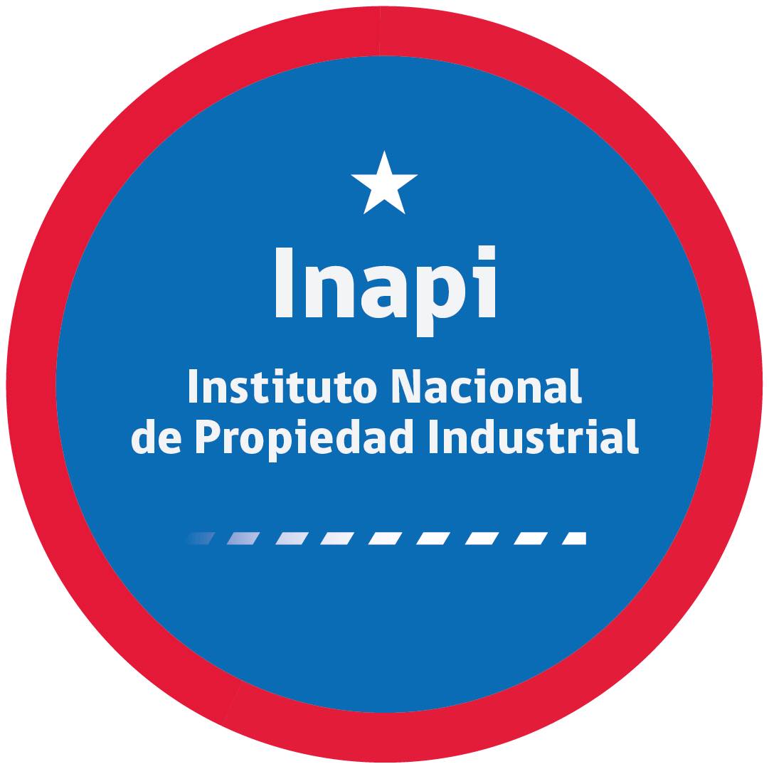 Inapi - 🏛 ¿Qué hace INAPI y por qué es clave para tu negocio? INAPI es ...