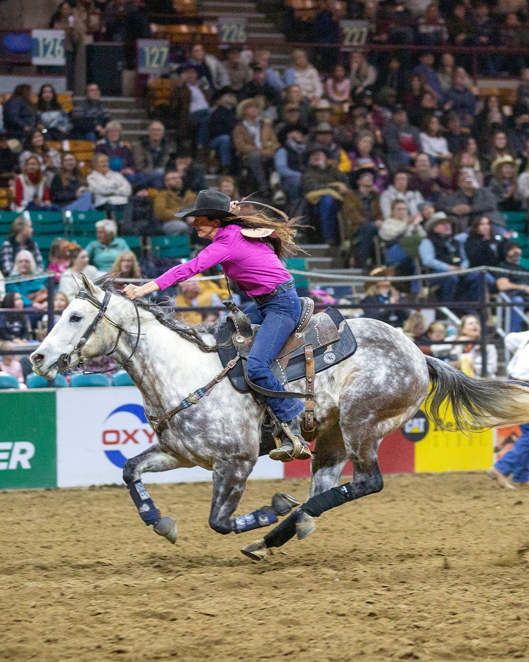 🌸💗 October is Breast Cancer... - National Western Stock Show | Facebook