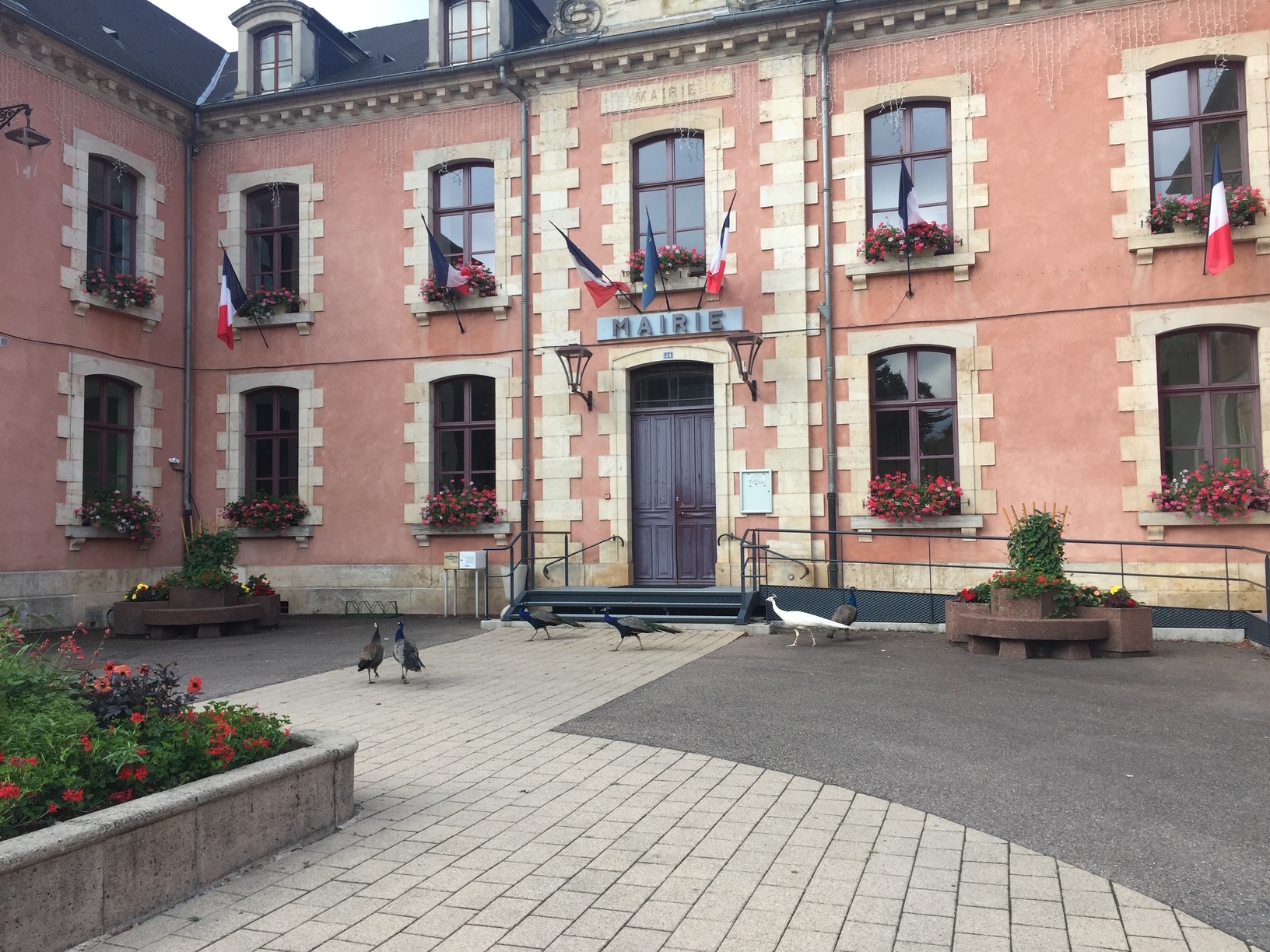 Commune de Scey-Sur-Saône | Scey-sur-Saône-et-Saint-Albin