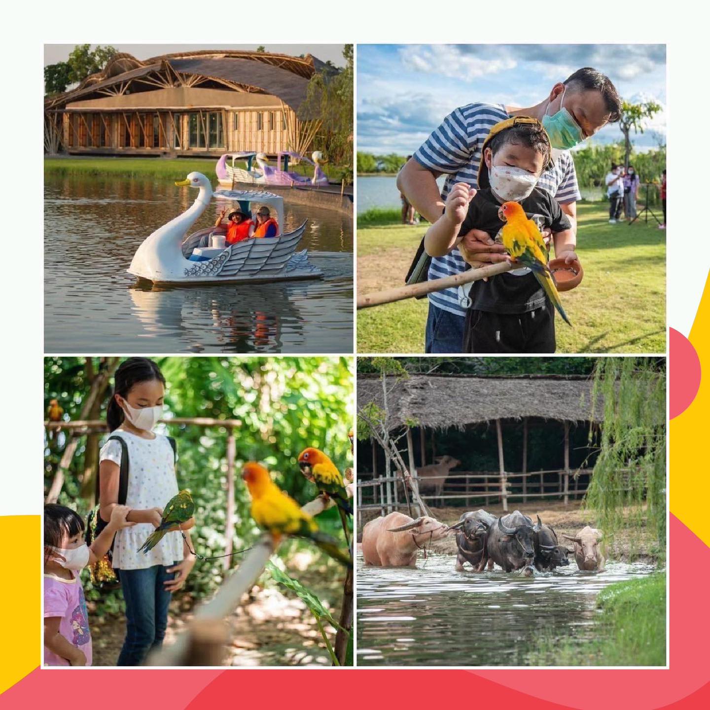 Neo Farm Thailand - หนีไวรัส มาหาธรรมชาติ 🌿🌲ณ #นีโอฟาร์ม ด้วยความรักและ ...