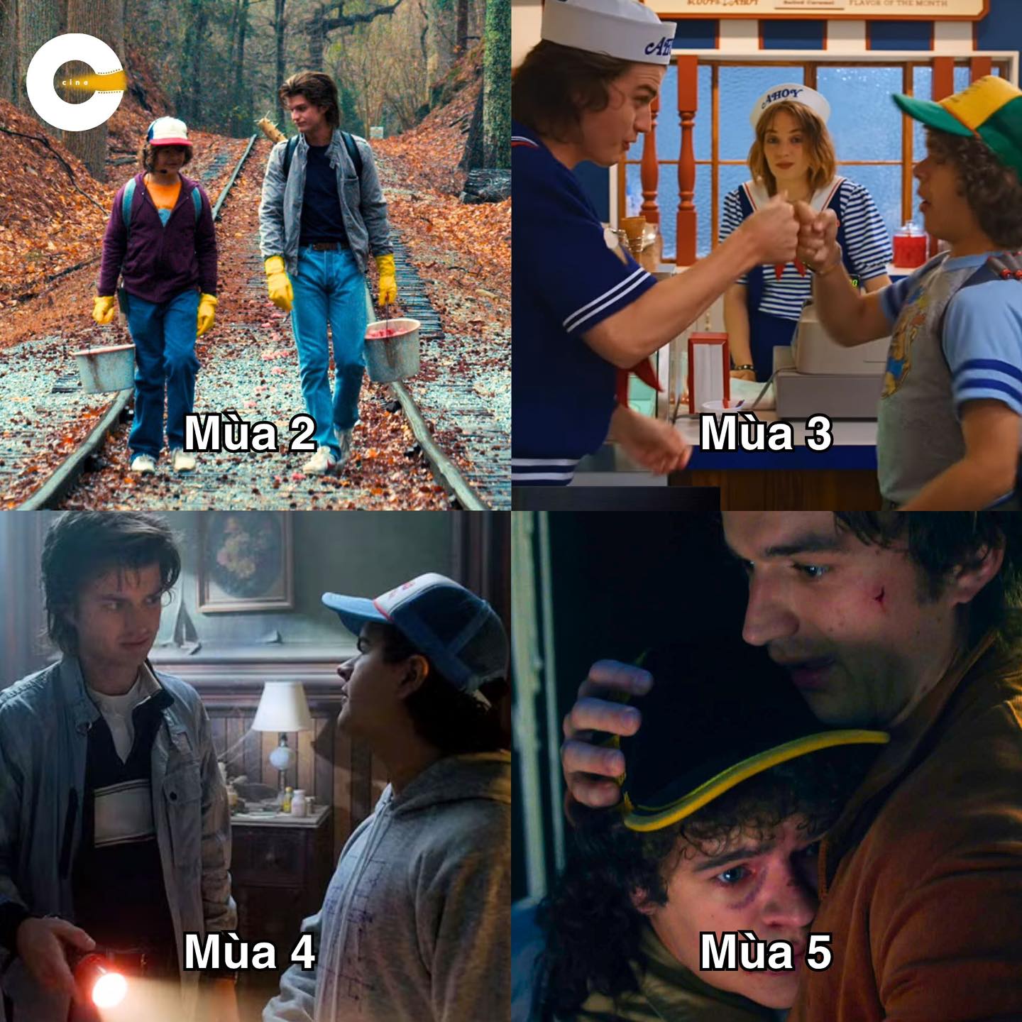 Cuồng - TÔI NGHĨ LÀ NETFLIX ĐANG LỪA CHÚNG TA RẰNG STEVE SẼ NGỦM NHƯNG ...