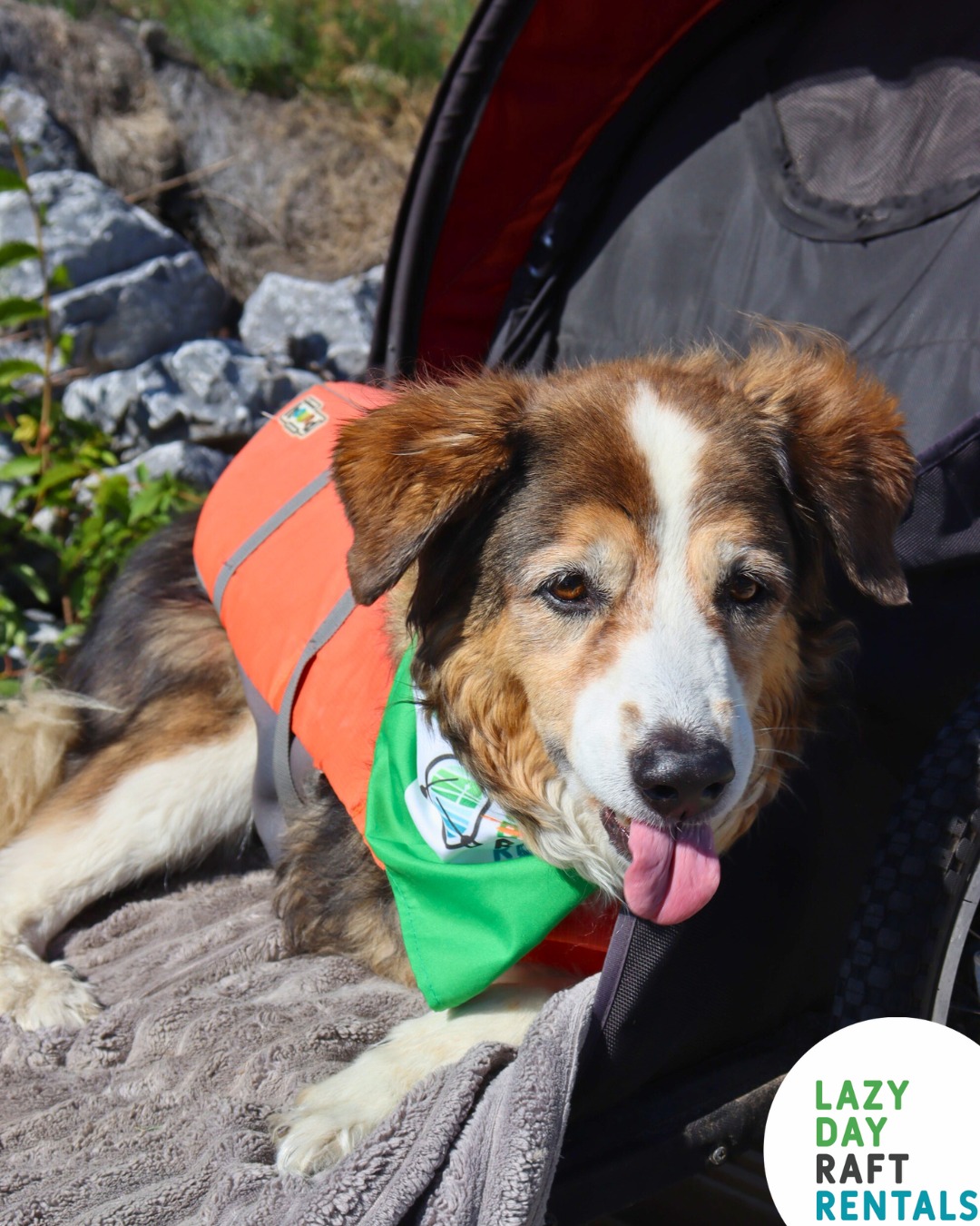 Lazy Day Raft Rentals | Calgary AB