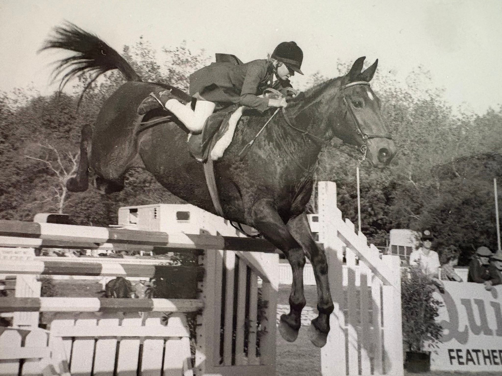 FLASH BACK: 1980's - Vicky... - New Zealand Equestrian Scene | Facebook